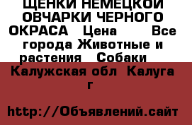 ЩЕНКИ НЕМЕЦКОЙ ОВЧАРКИ ЧЕРНОГО ОКРАСА › Цена ­ 1 - Все города Животные и растения » Собаки   . Калужская обл.,Калуга г.